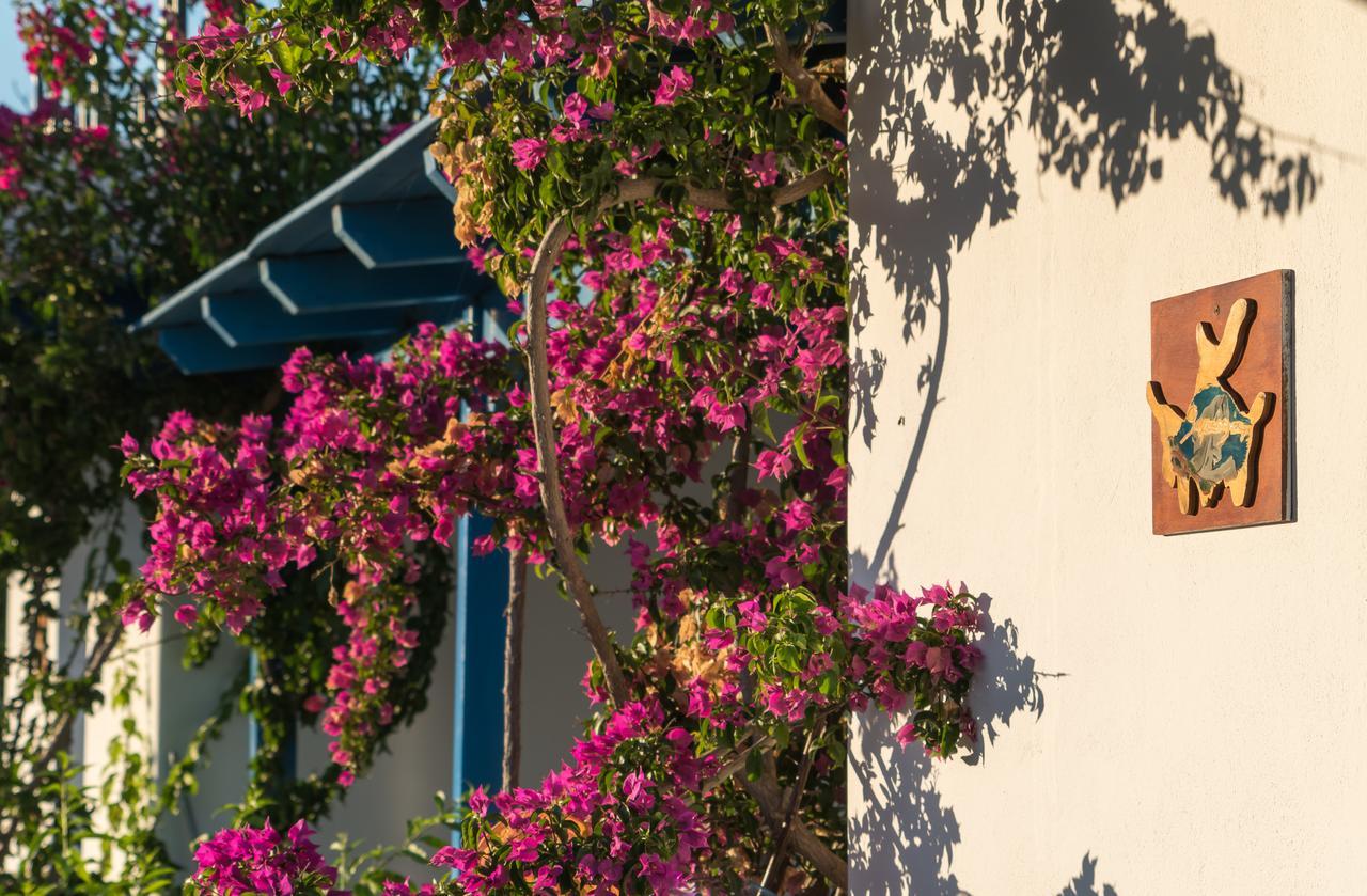 Firoa Studios Donoussa Exterior foto